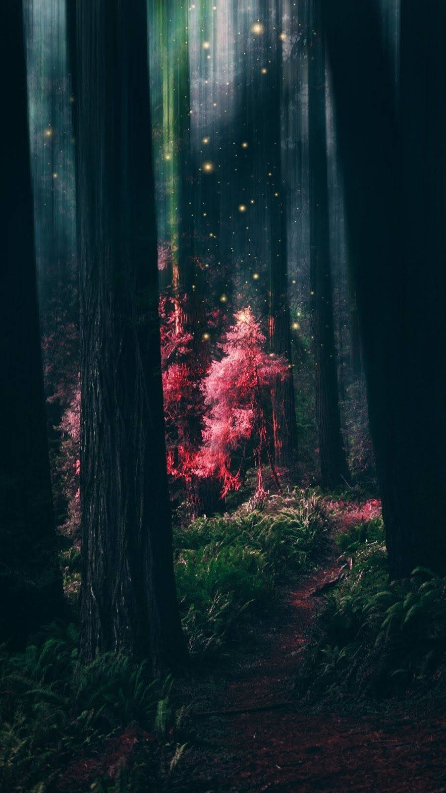 enchanted forest, pink leaves, glowing particles, HD Phone Wallpaper