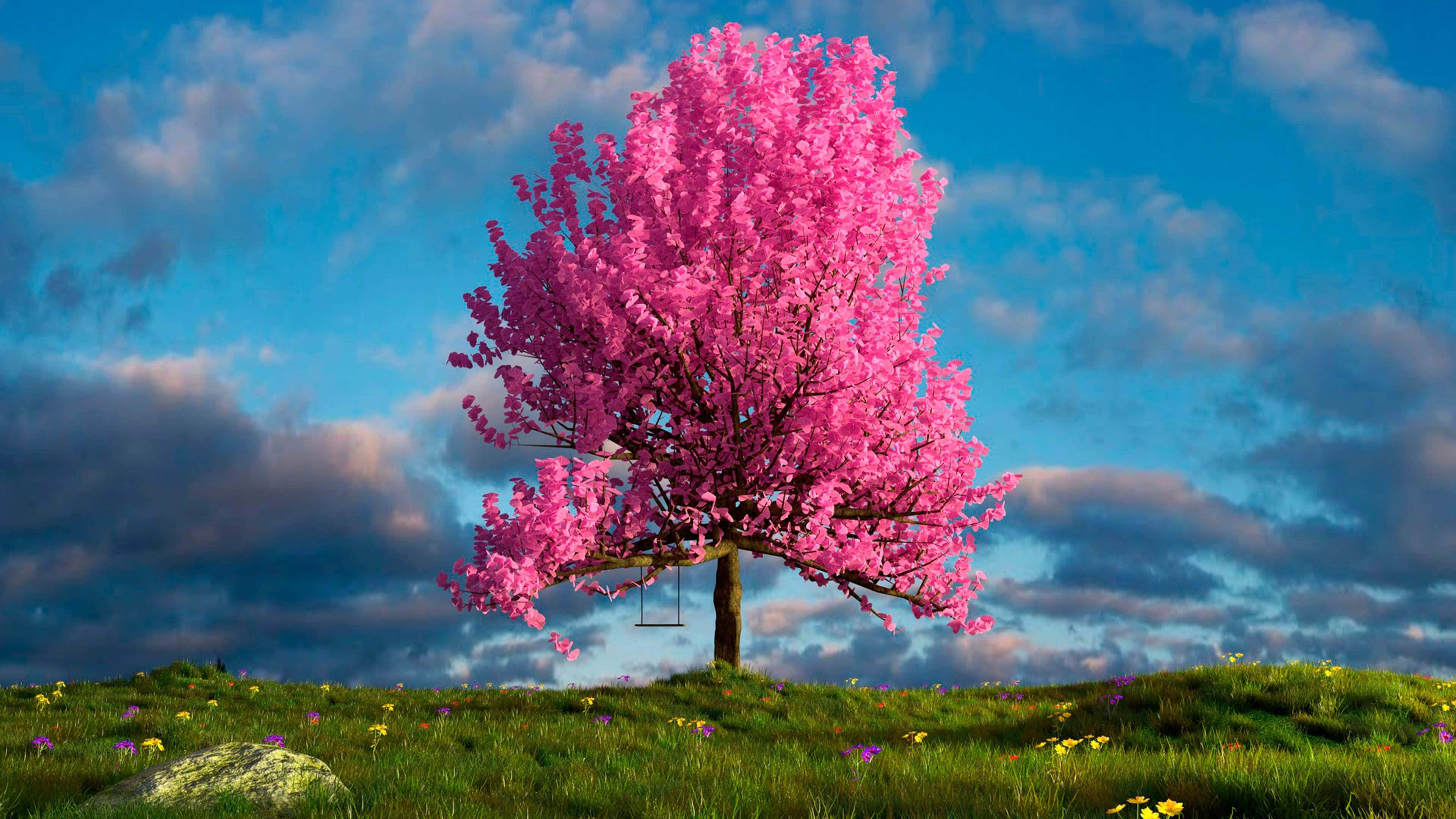 vibrant pink tree, cherry blossom tree, grassy hill, 4K Desktop Wallpaper