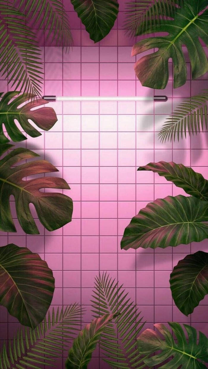 pink bathroom tiles, leaves aesthetic, tropical monstera, SD Phone Wallpaper