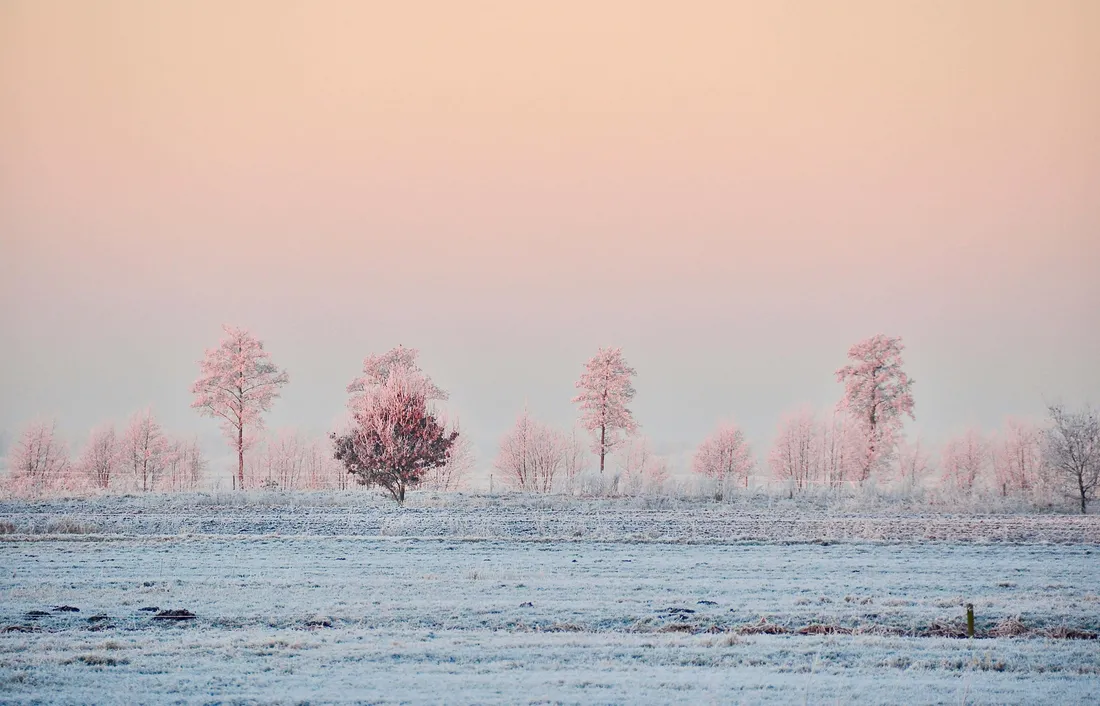 Pink Winter Aesthetic
