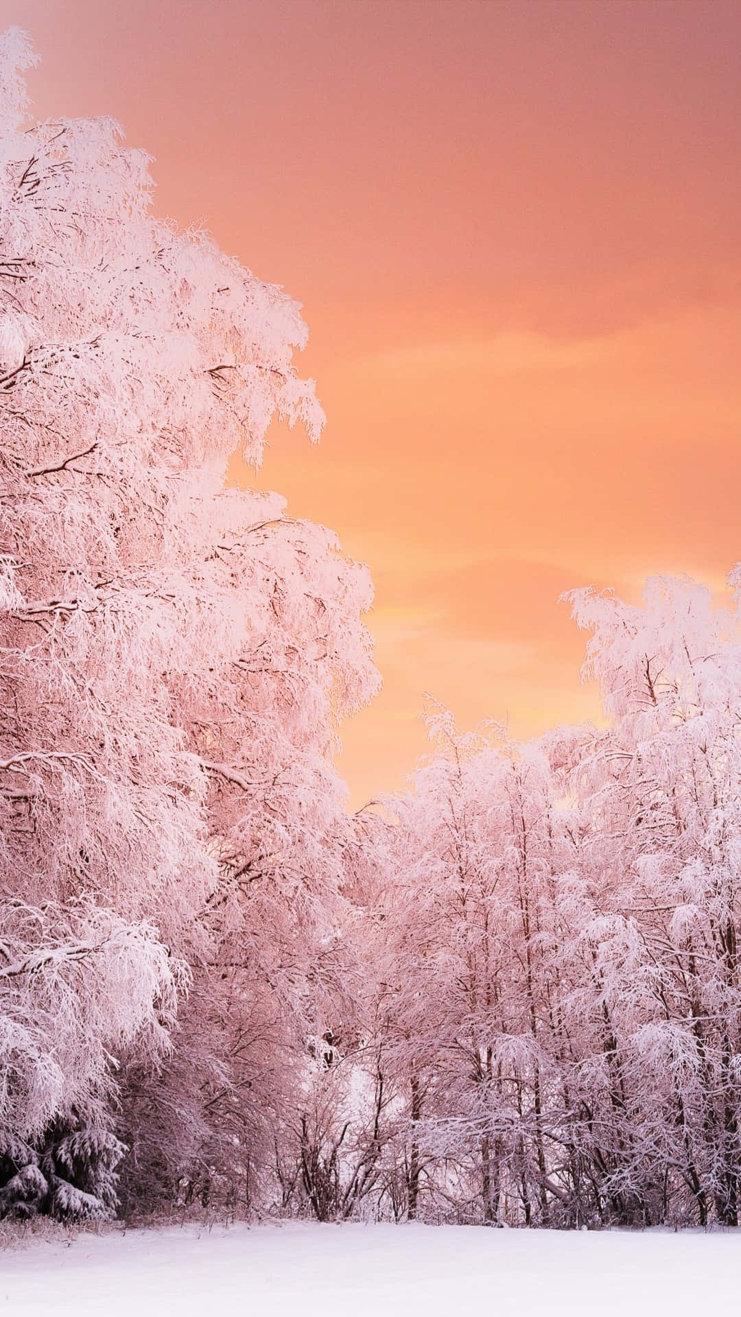 Blush Winter Sunset, pink and orange sunset sky, snow blankets, Full HD Phone Wallpaper