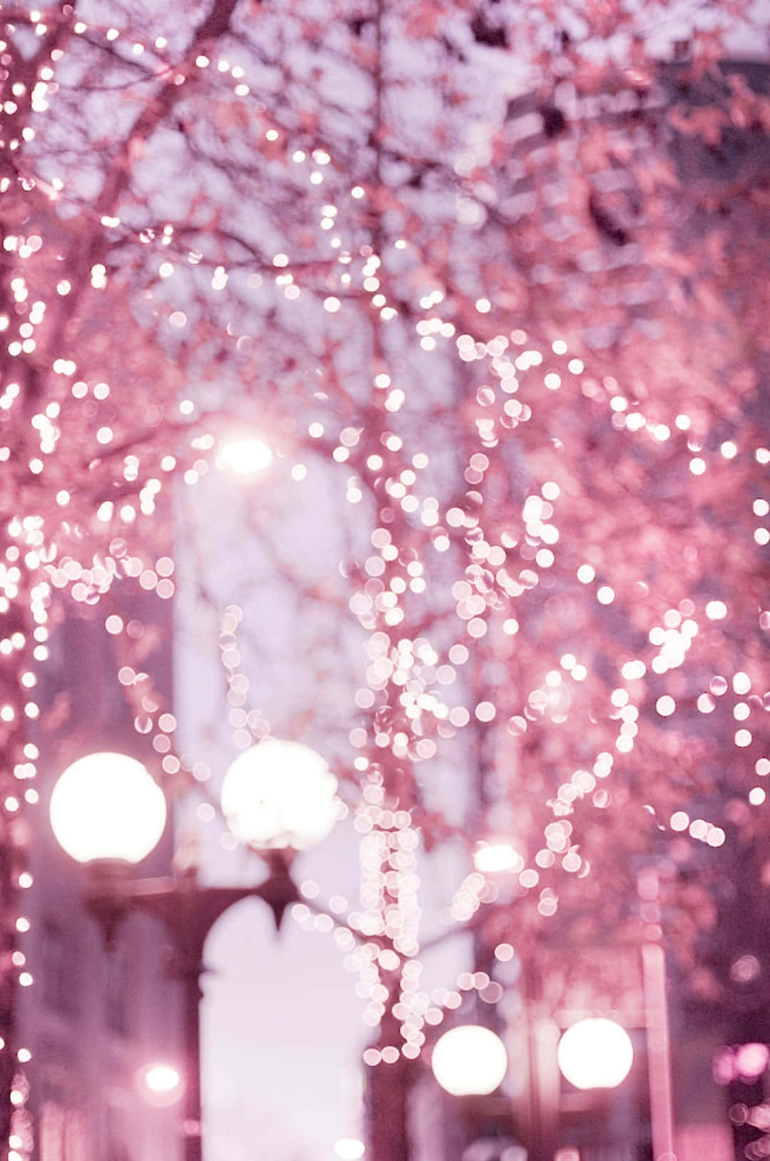 Pink Winter Lights Aesthetic, bokeh lights, bare tree branches, HD Phone Wallpaper