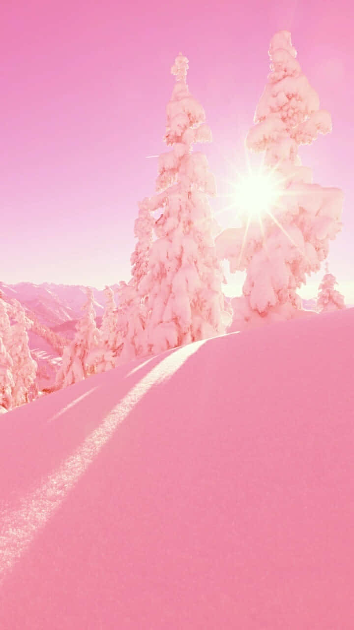Pink Snowy Winter Sunrise, snowy pine trees, radiant sun, HD Phone Wallpaper
