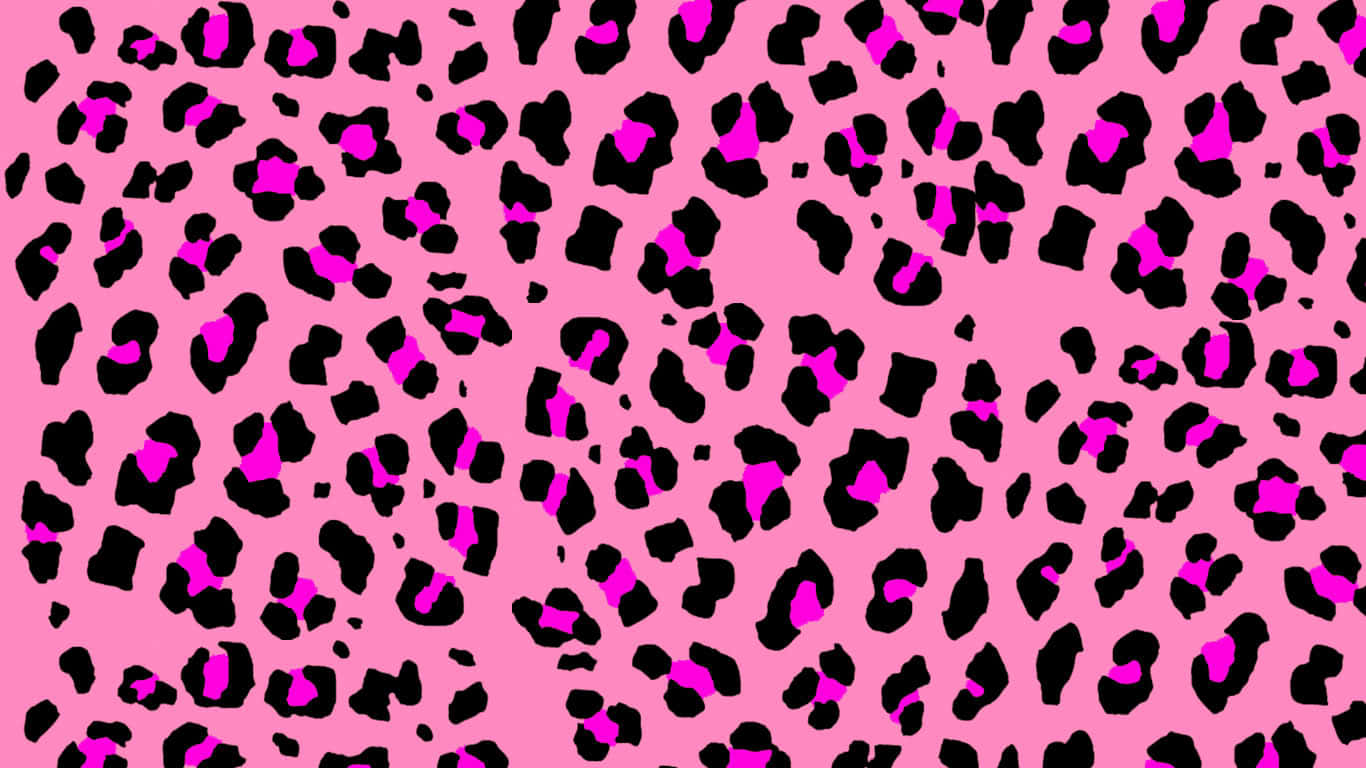 Pink Zebra, vibrant pink, bold black, HD Desktop Wallpaper
