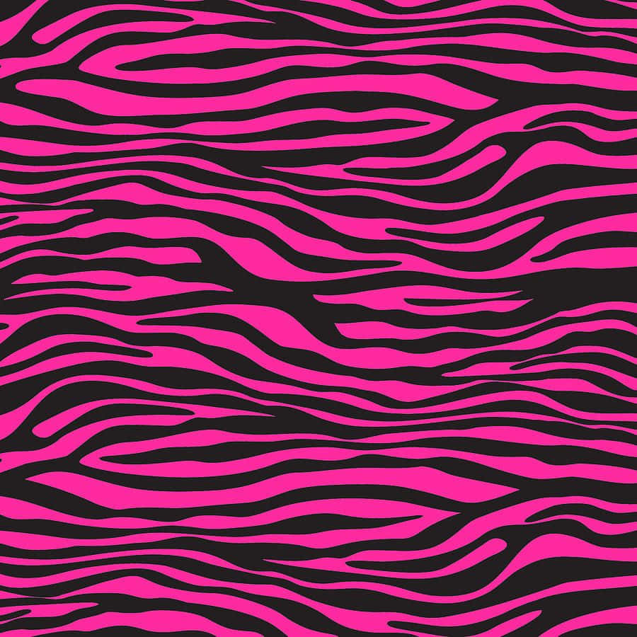 pink zebra, vibrant pink, black wavy stripes, SD Desktop Wallpaper
