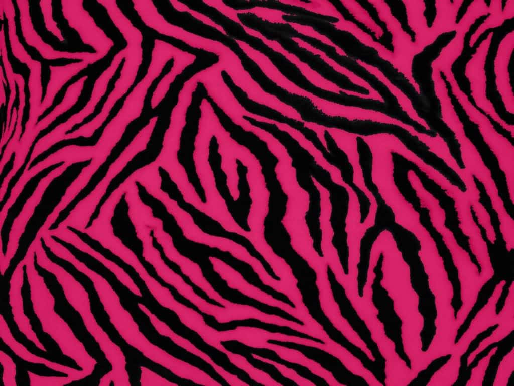 pink zebra, zebra print fabric, pink and black, SD Desktop Wallpaper