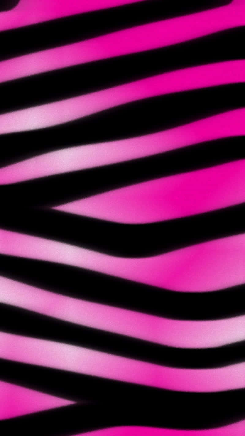 Pink Zebra, vibrant pink, black, HD Phone Wallpaper