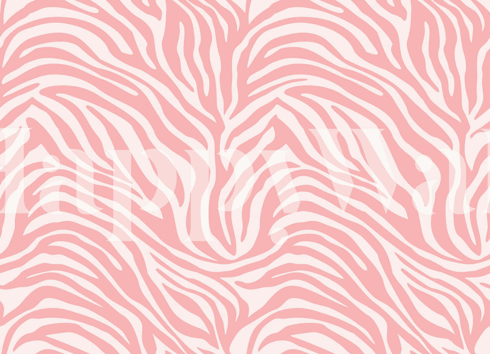 pink zebra, pink and white zebra print pattern, seamless zebra stripe pattern, HD Desktop Wallpaper