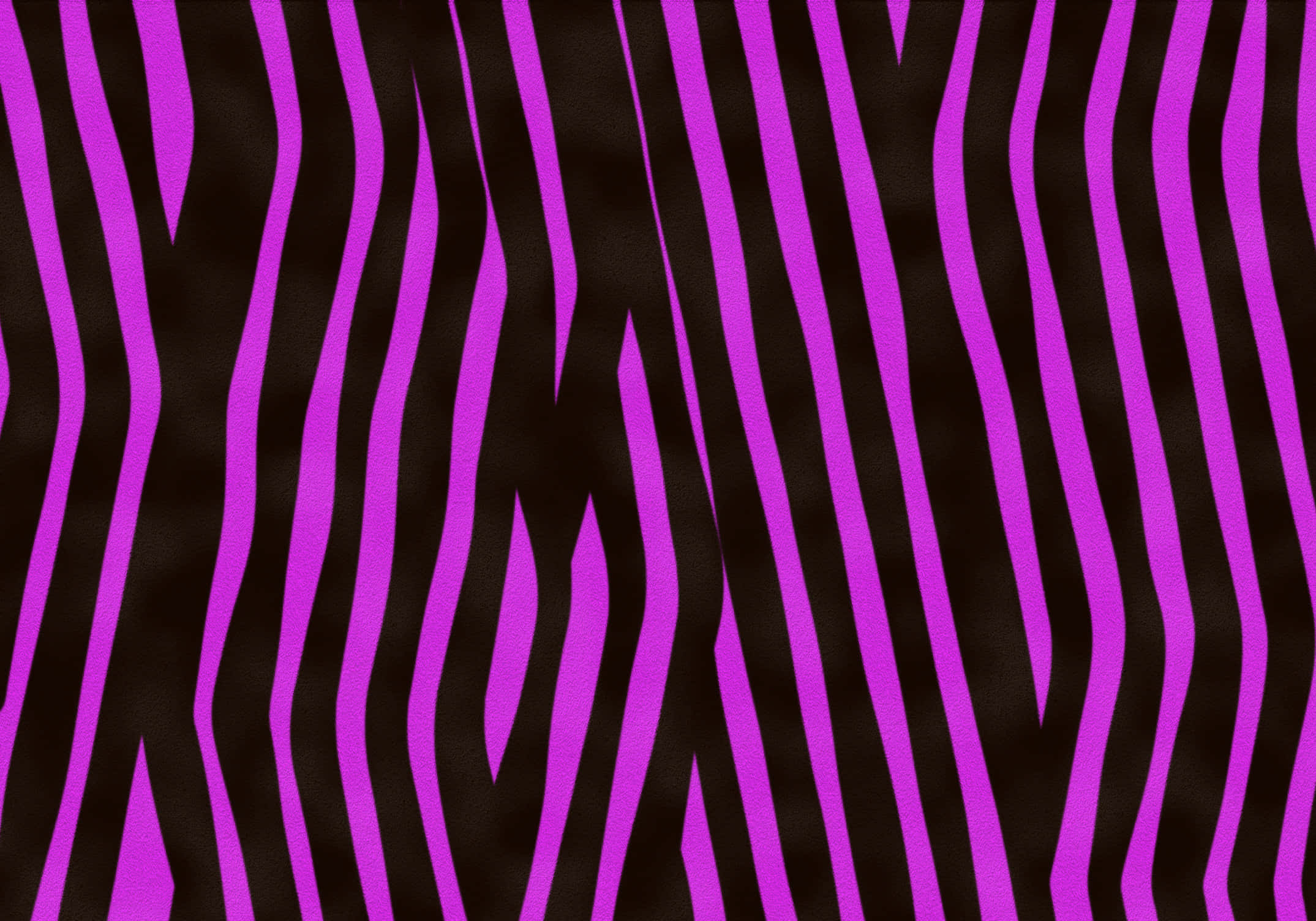 Pink Zebra, black, purple, Full HD Desktop Wallpaper