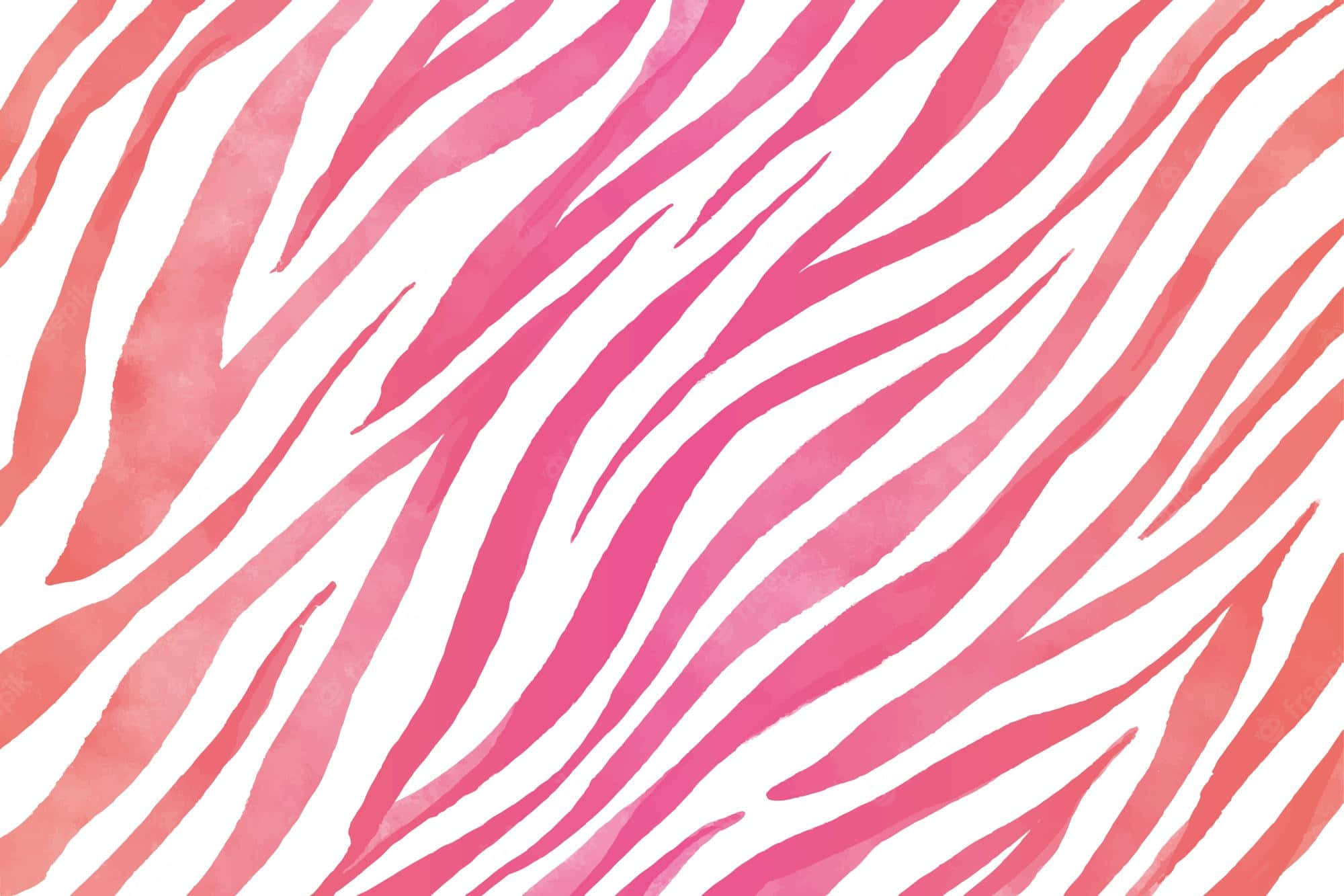 Pink Zebra, orange, pink, Full HD Desktop Wallpaper