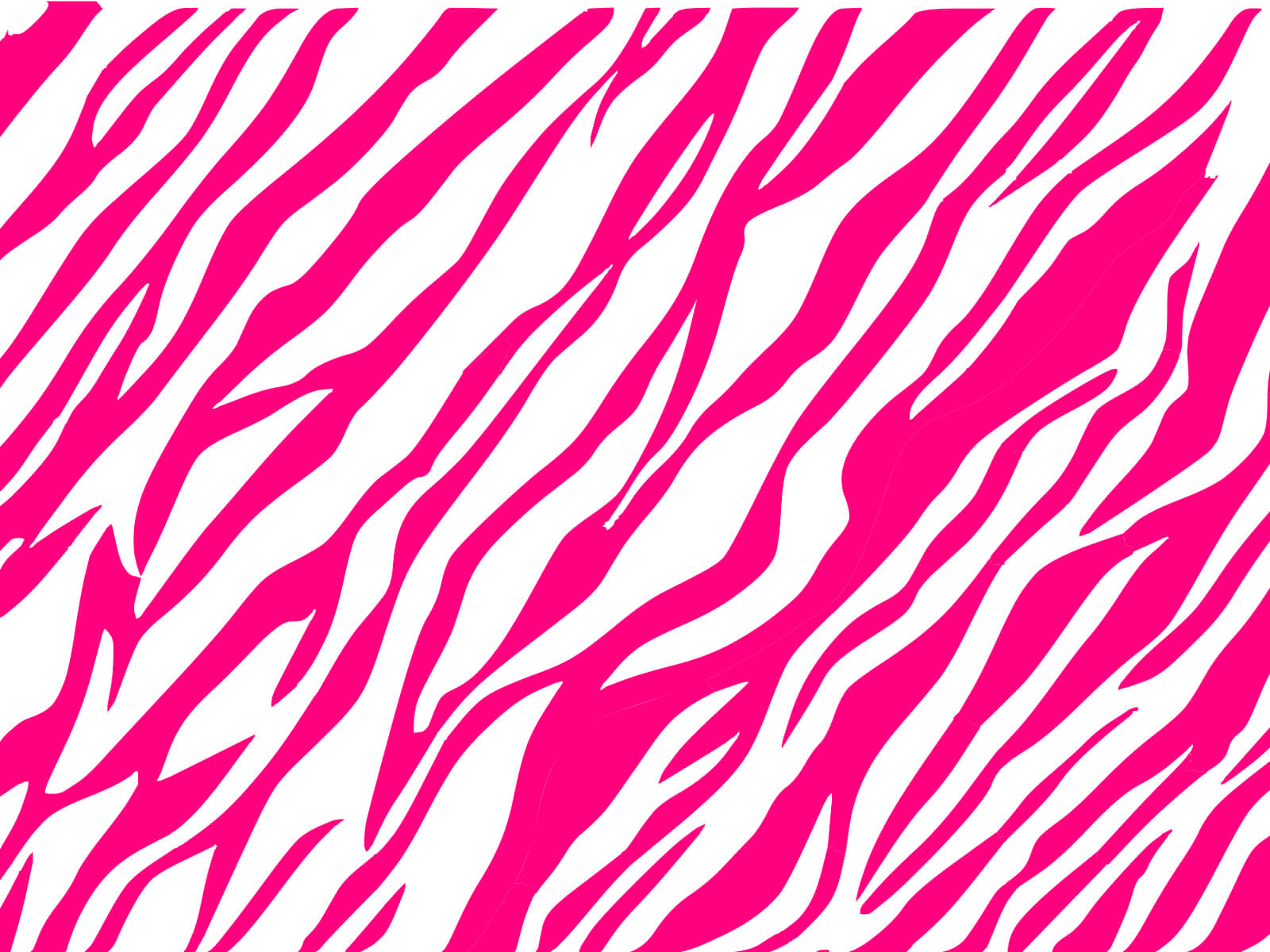 pink zebra, pink and white zebra print pattern, vibrant pink, HD Desktop Wallpaper