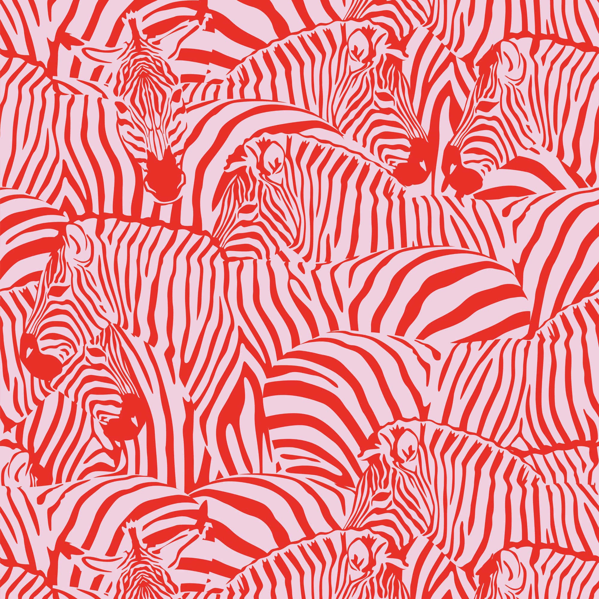 Pink Zebra, red and white stylized zebra pattern, repeating animal heads, Full HD Desktop Wallpaper