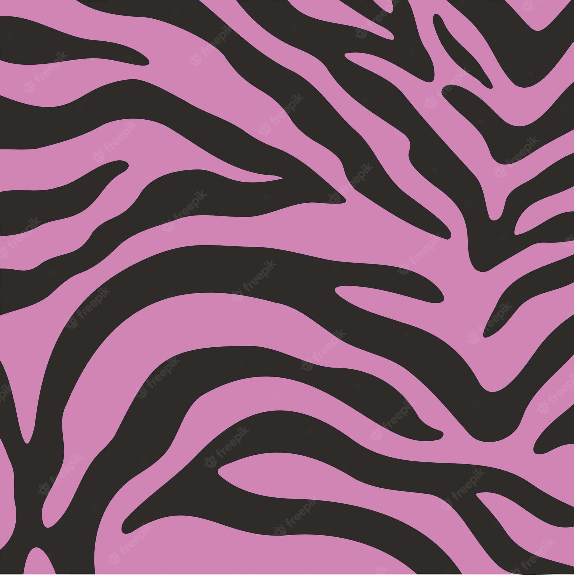 Pink Zebra, bold pink, black zebra stripe, Full HD Phone Wallpaper