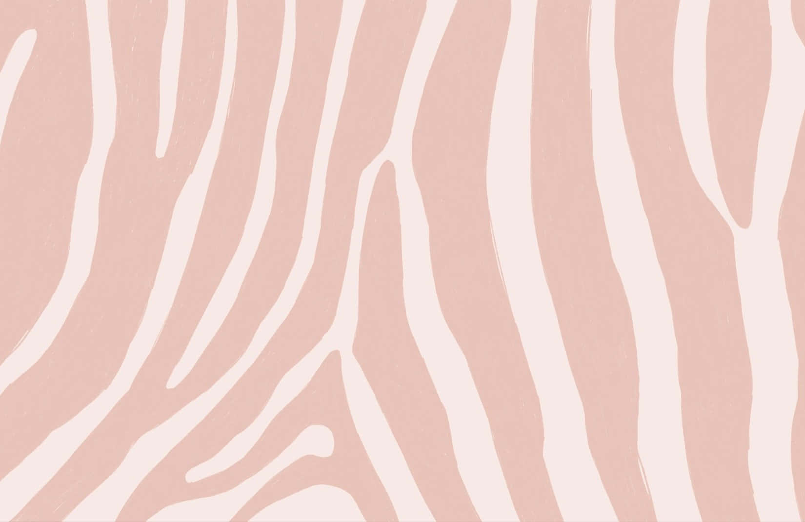 Pink Zebra, soft pink, white zebra-stripe patterns, HD Desktop Wallpaper