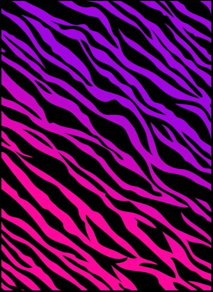 pink zebra, purple and pink zebra print, black background, SD Phone Wallpaper