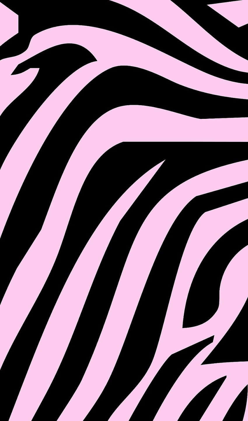 pink zebra, pink and black zebra print, bold pink and black zebra stripes, HD Phone Wallpaper