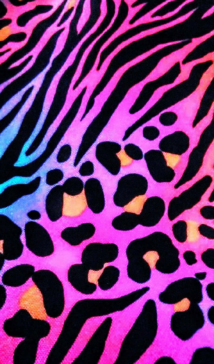 Pink Zebra, neon colors, vibrant pink, HD Phone Wallpaper