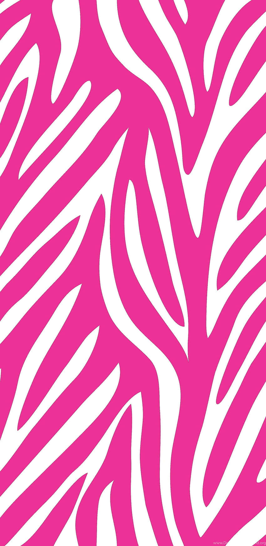pink and white zebra print, zebra stripe pattern, bold graphic design, HD Phone Wallpaper