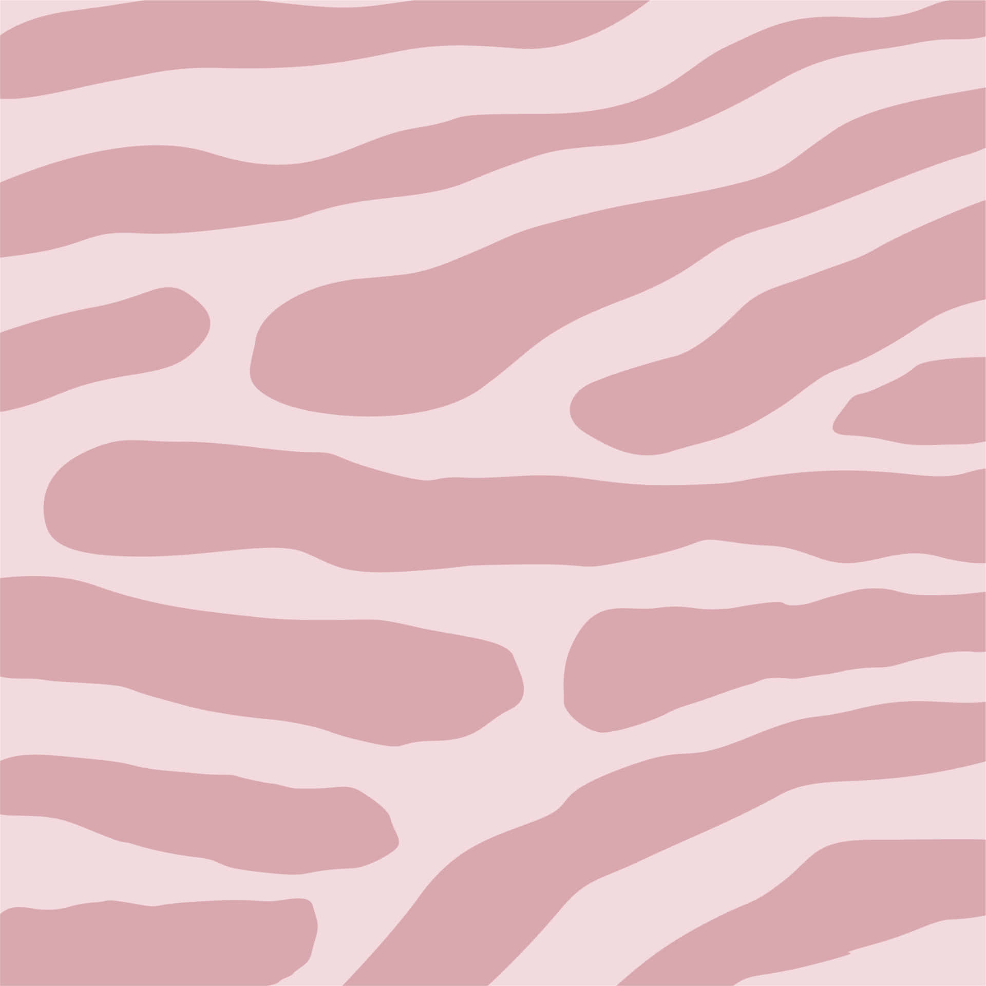 Pink Zebra, large pattern, soft pink zebra stripe, Full HD Desktop Wallpaper