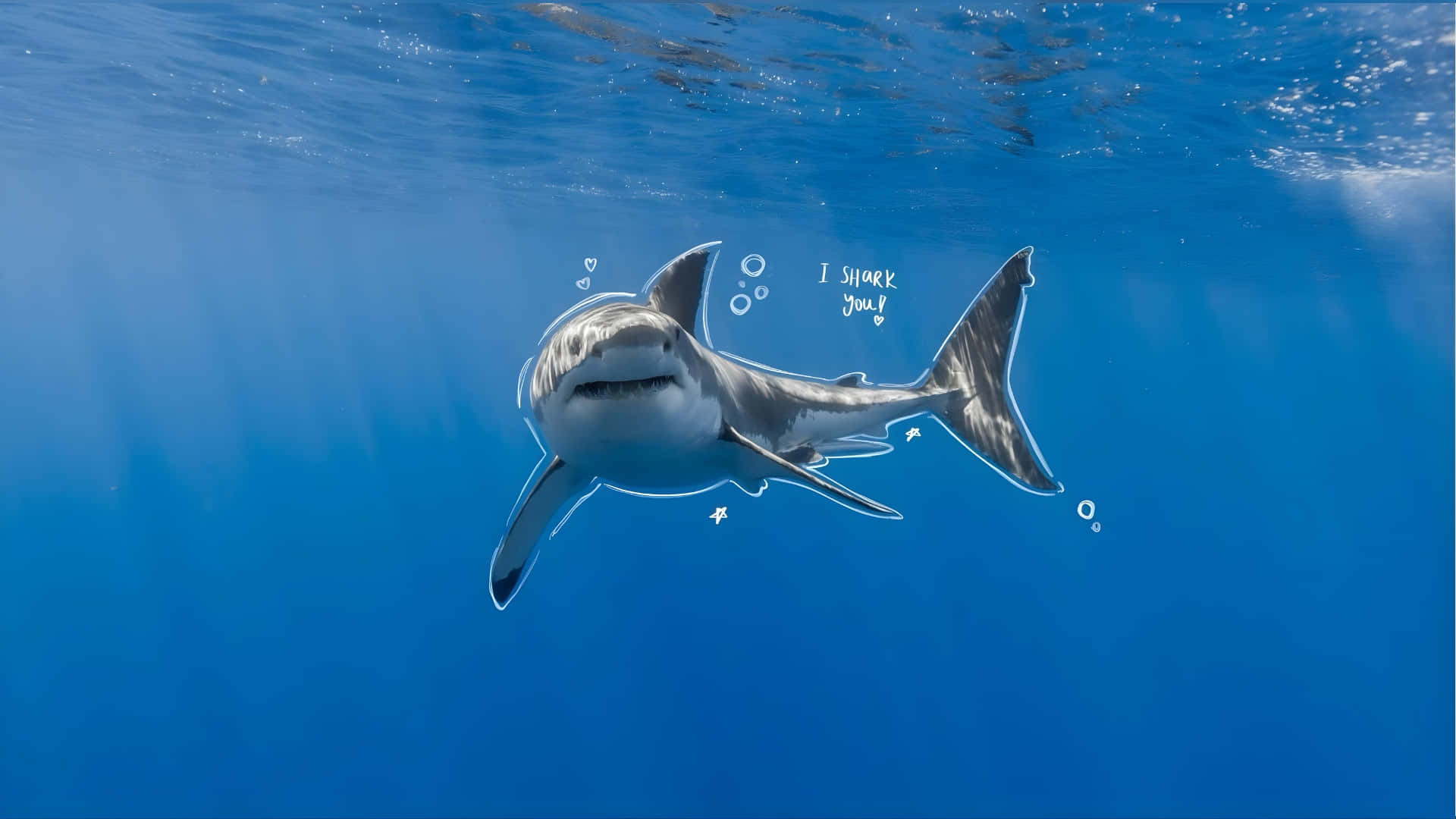Baby Shark, cartoon shark, clear blue ocean water, Full HD Desktop Wallpaper