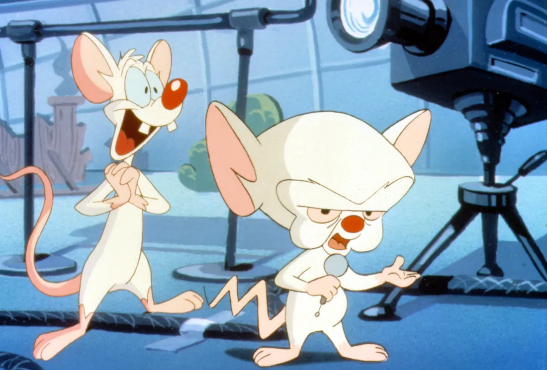 Pinky And The Brain