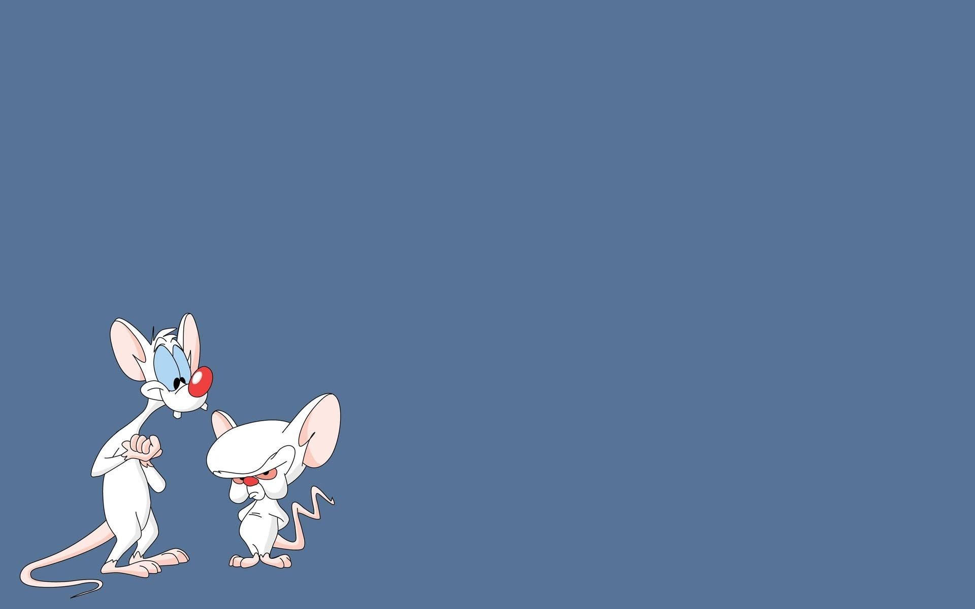 Pinky And The Brain, pastel blue, red noses, Full HD Desktop Wallpaper