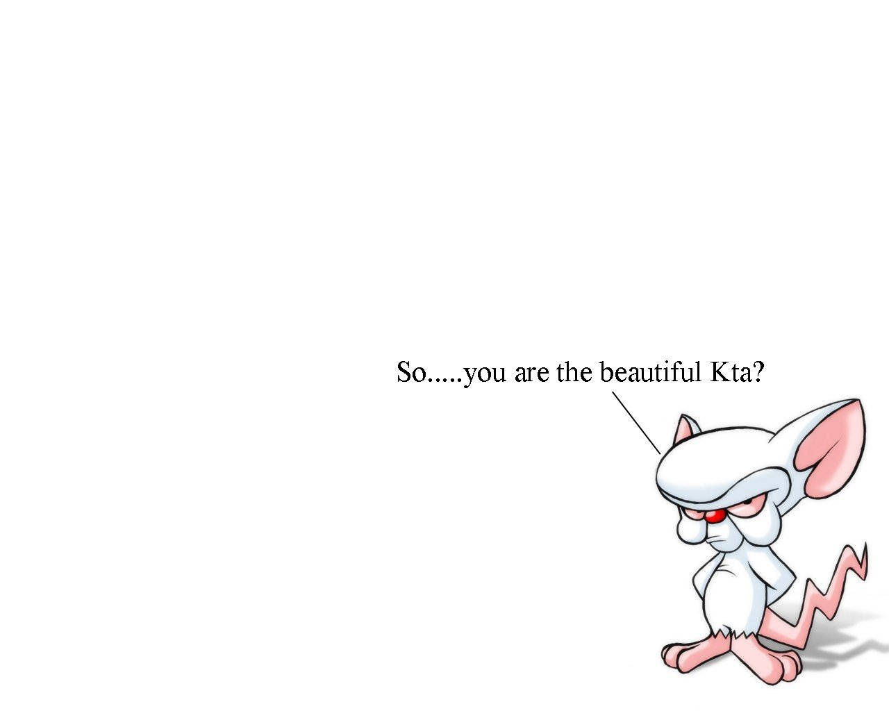 Pinky And The Brain, cartoon mouse, red eyes, HD Desktop Wallpaper