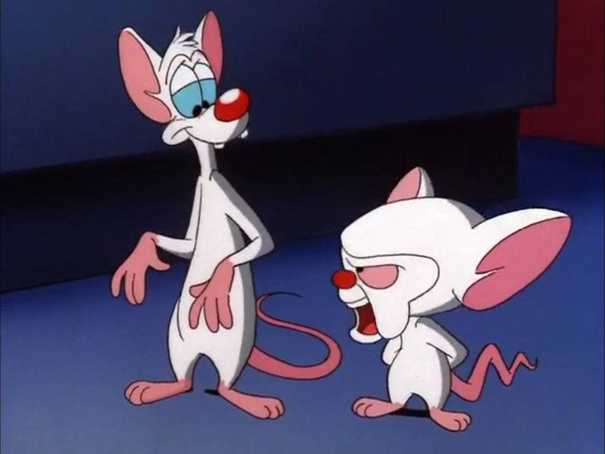 Pinky And The Brain, purple floor, blue room, SD Desktop Wallpaper