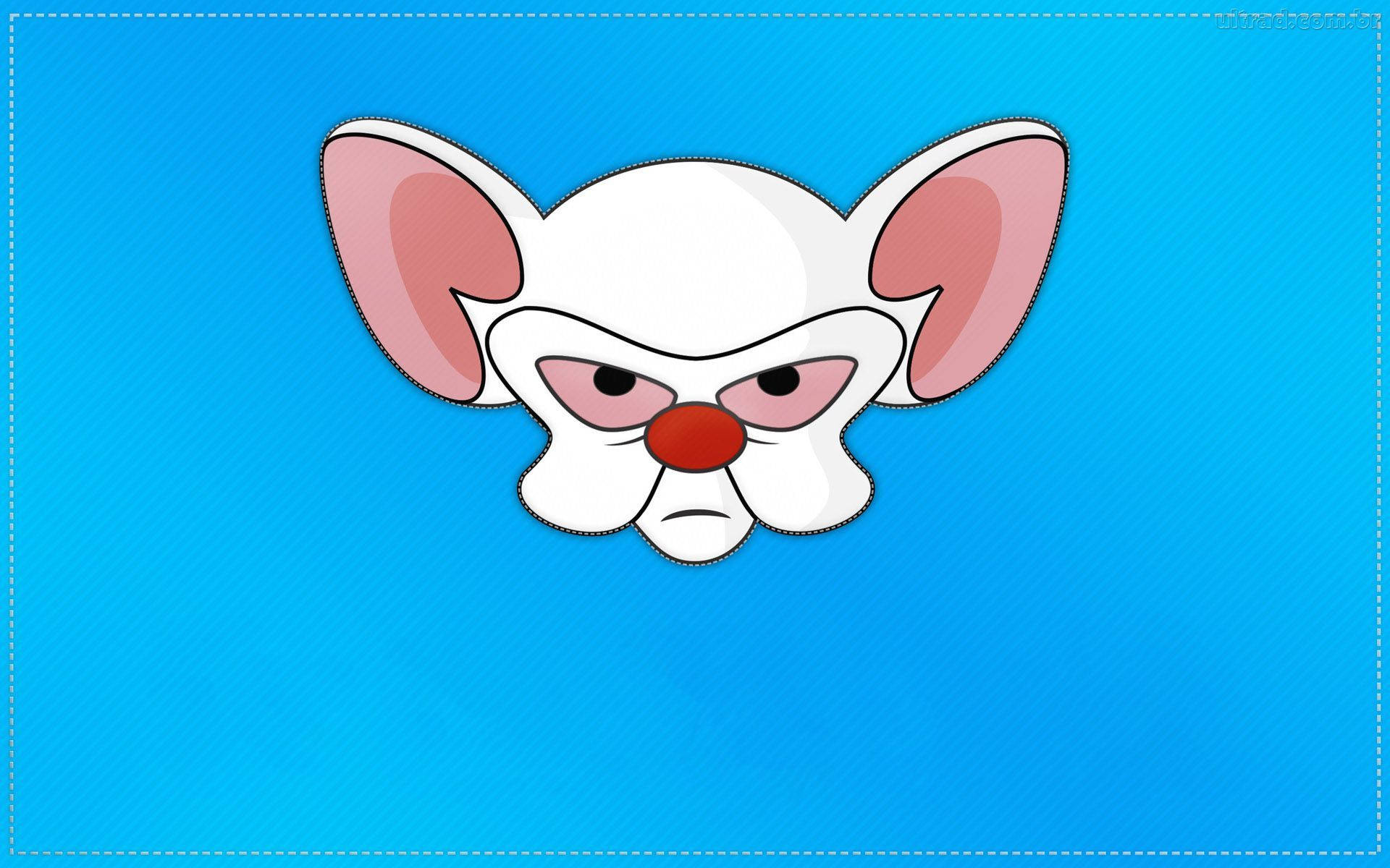 Pinky And The Brain, blue gradient background, pink ears, Full HD Desktop Wallpaper