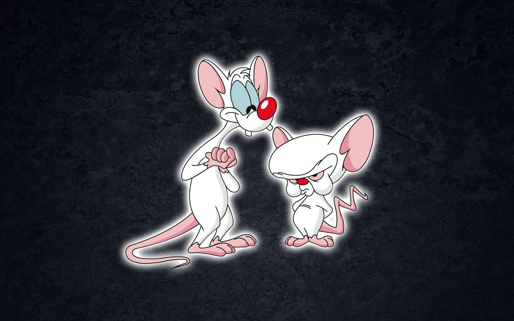 Pinky And The Brain, glowing outlines, dark textured background, HD Desktop Wallpaper