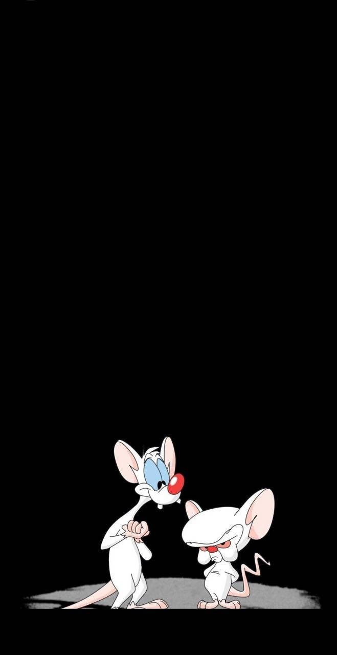 Pinky And The Brain, black background, dark floor, HD Phone Wallpaper