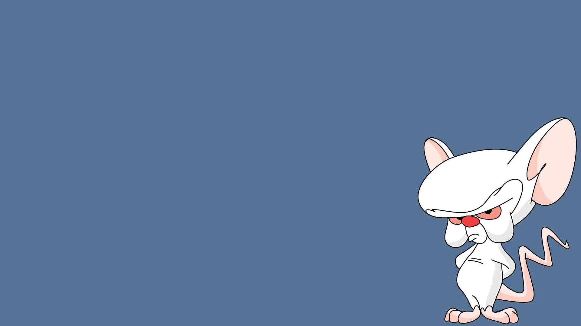 Pinky And The Brain, red eyes, smug expression, Full HD Desktop Wallpaper