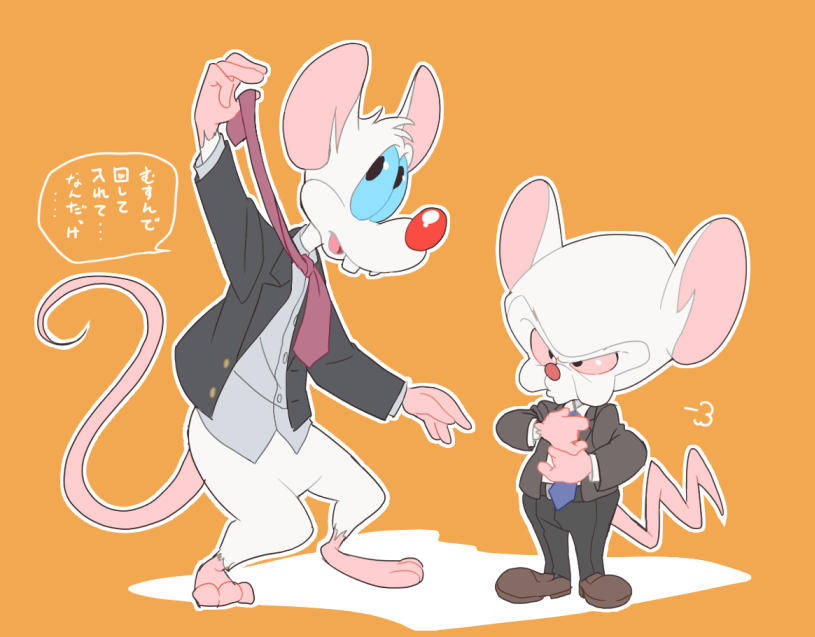 Pinky And The Brain, orange background, anthropomorphic mice, SD Desktop Wallpaper