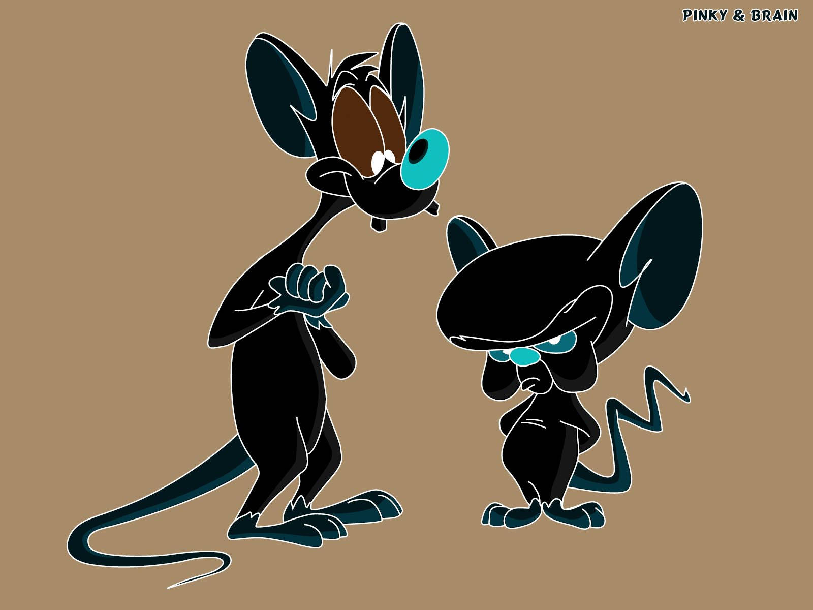 Pinky And The Brain, brown background, cartoon mice, HD Desktop Wallpaper