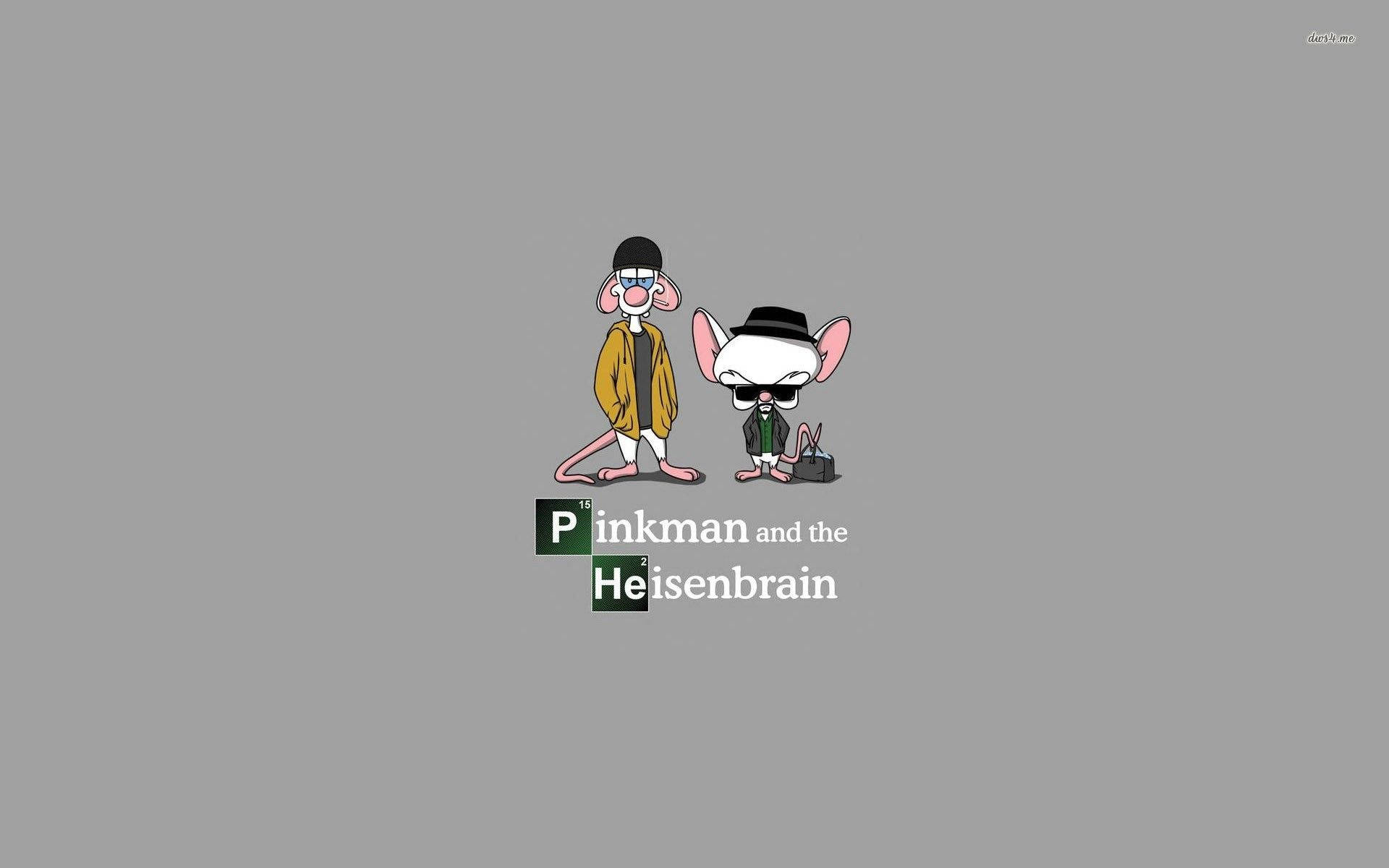 Pinky And The Brain, sunglasses, hats, Full HD Desktop Wallpaper