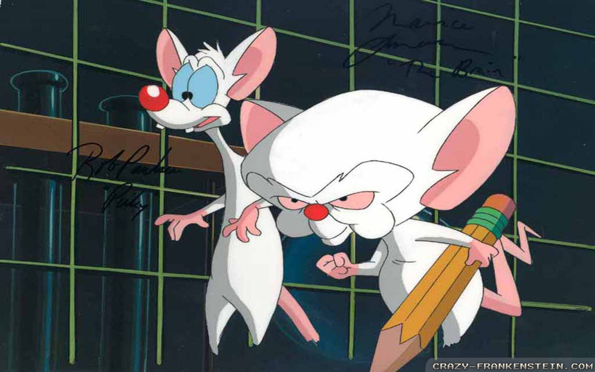 Pinky And The Brain, laboratory mice, red noses, Full HD Desktop Wallpaper