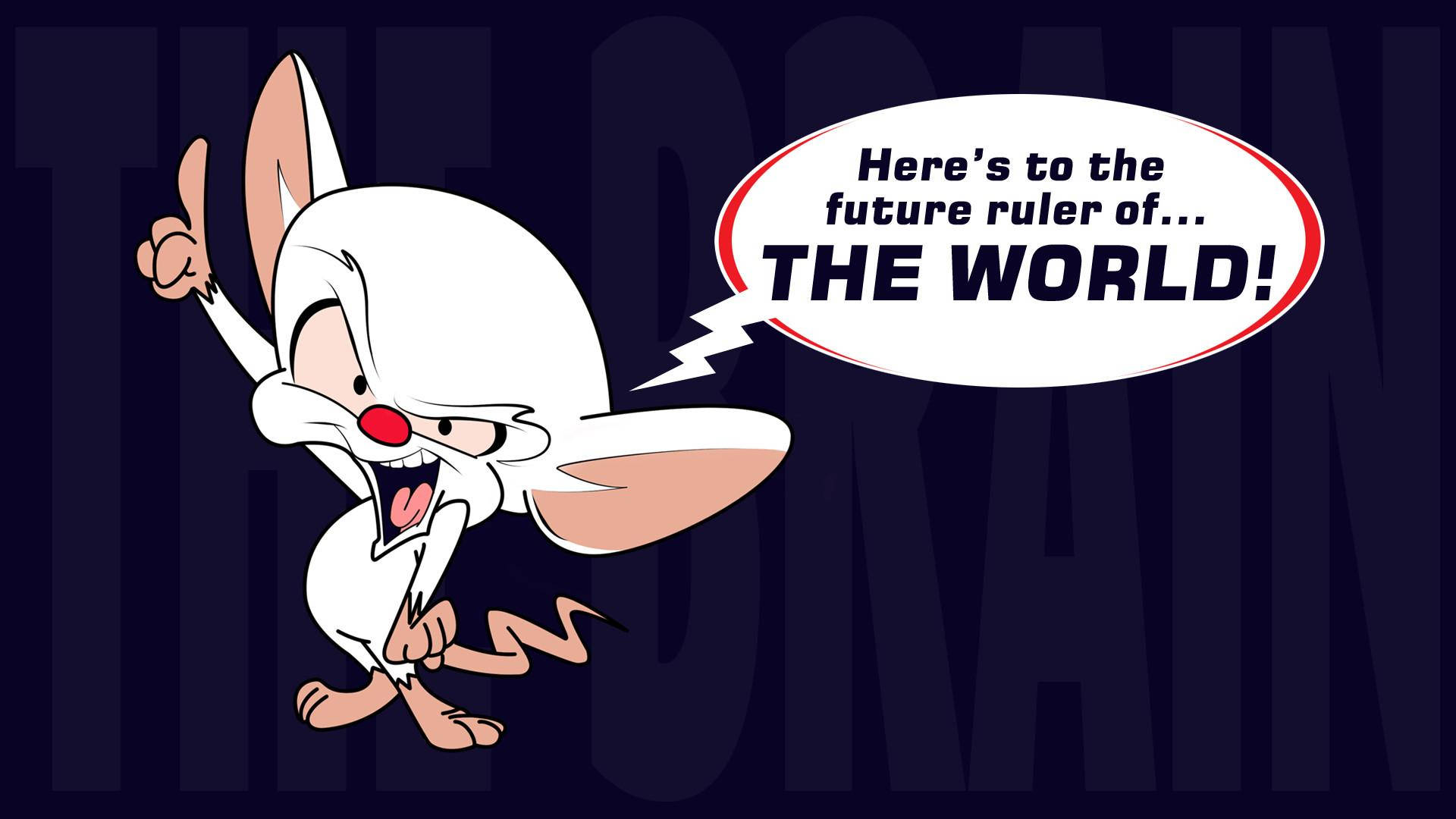 Pinky And The Brain, white rabbit, red nose, Full HD Desktop Wallpaper