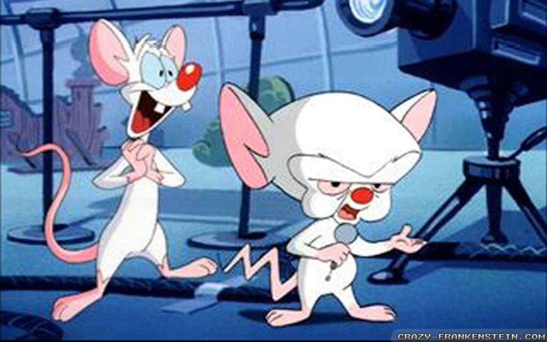 Pinky And The Brain, white mice, red noses, Full HD Desktop Wallpaper