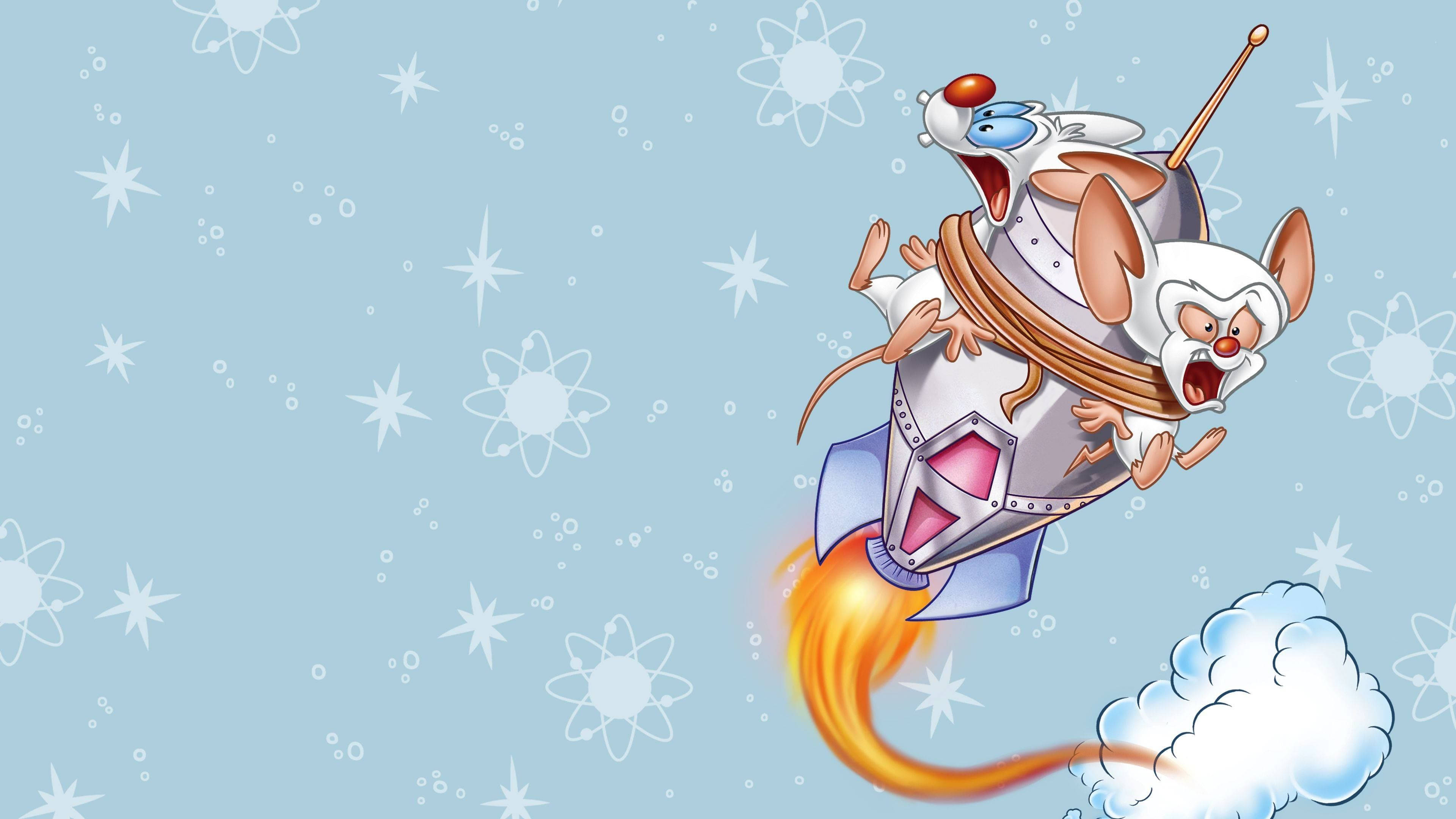 Pinky And The Brain, rocket, starry sky, 4K Desktop Wallpaper