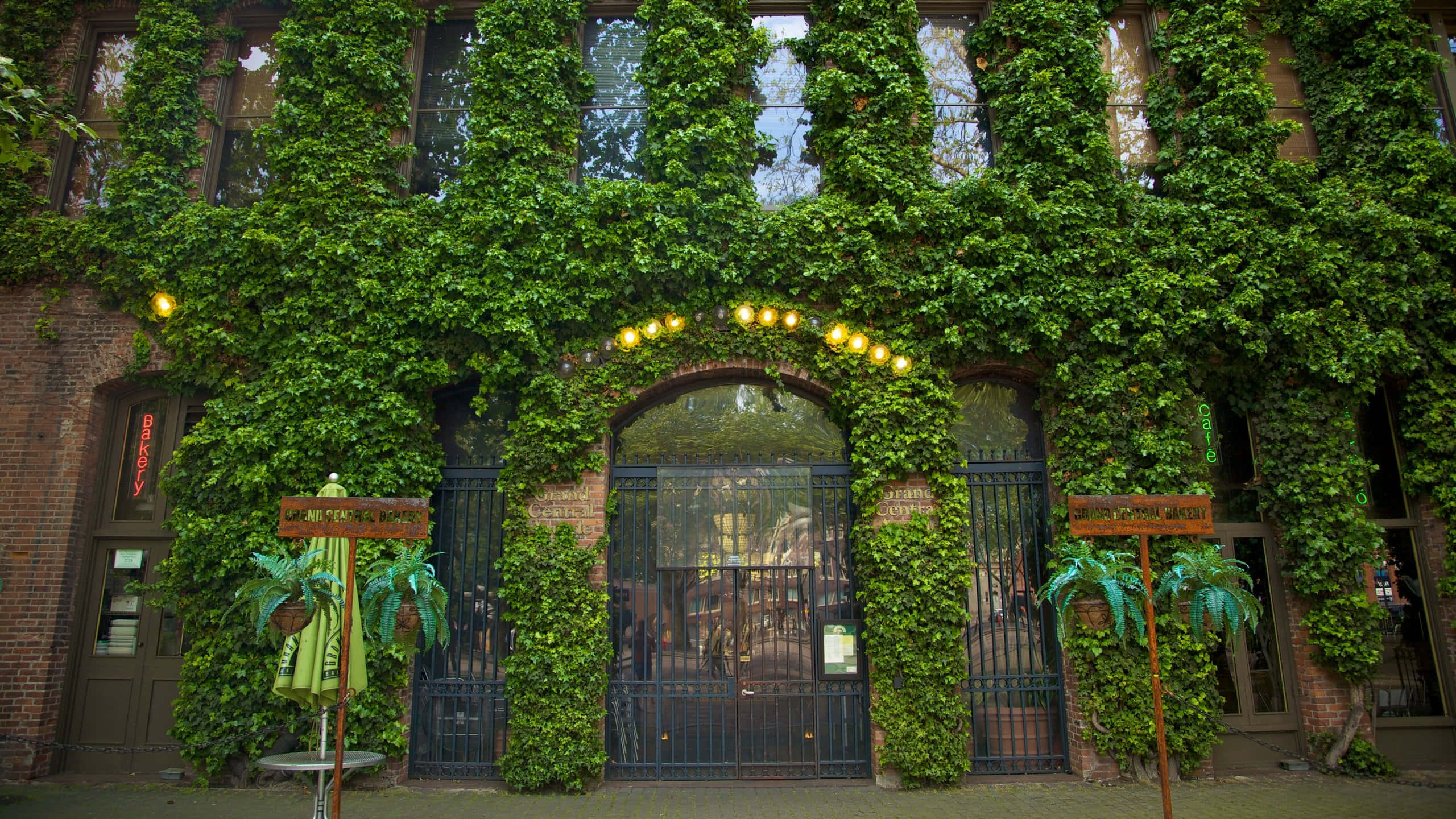 Pioneer Square Seattle, ivy covered building, historic brick building, 2K Desktop Wallpaper