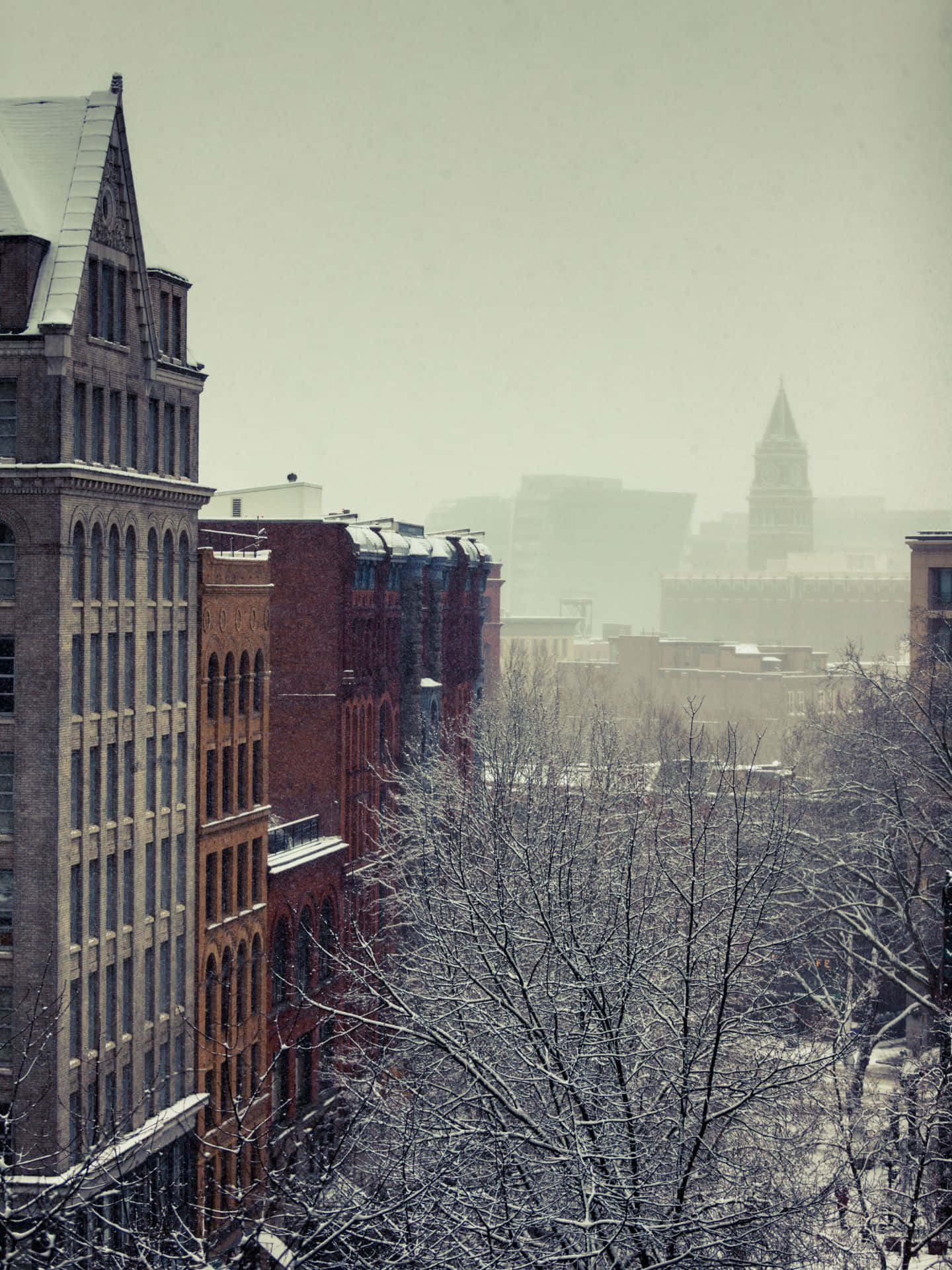Pioneer Square Seattle, snow, bare tree branches, Full HD Phone Wallpaper