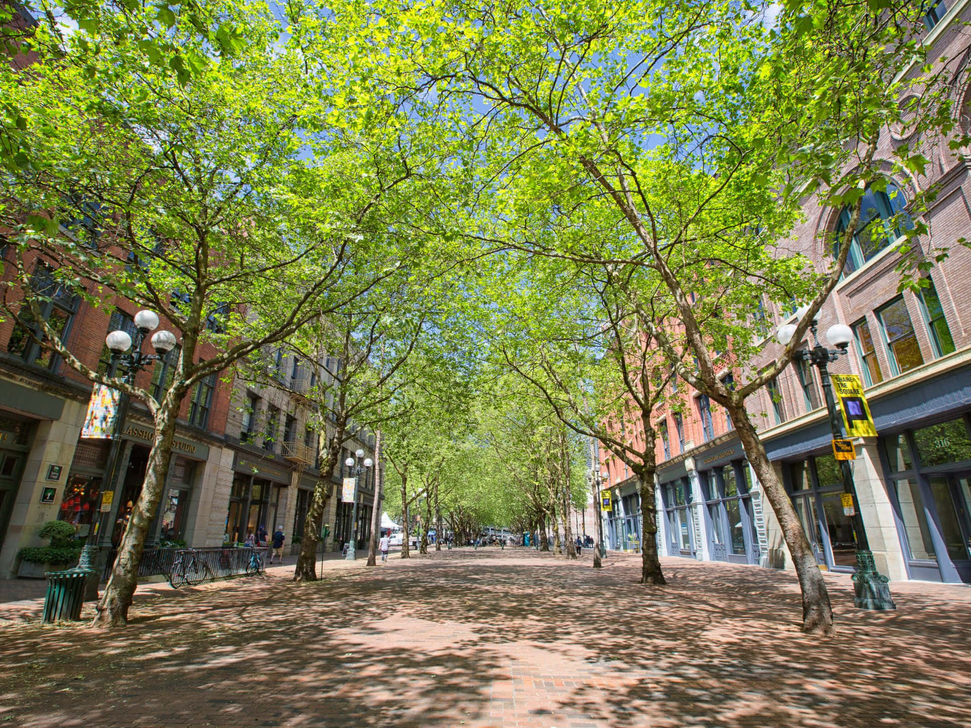 Pioneer Square Seattle, sunny day, sun-dappled, Full HD Desktop Wallpaper