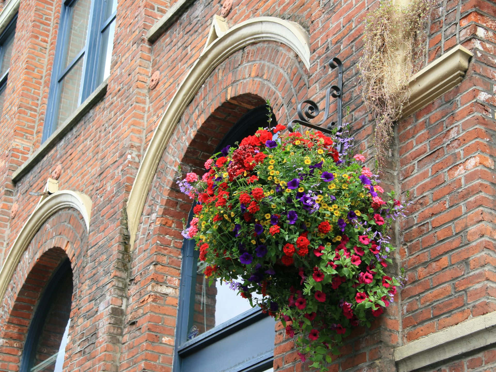 Pioneer Square Seattle, floral display, hanging basket, Full HD Desktop Wallpaper