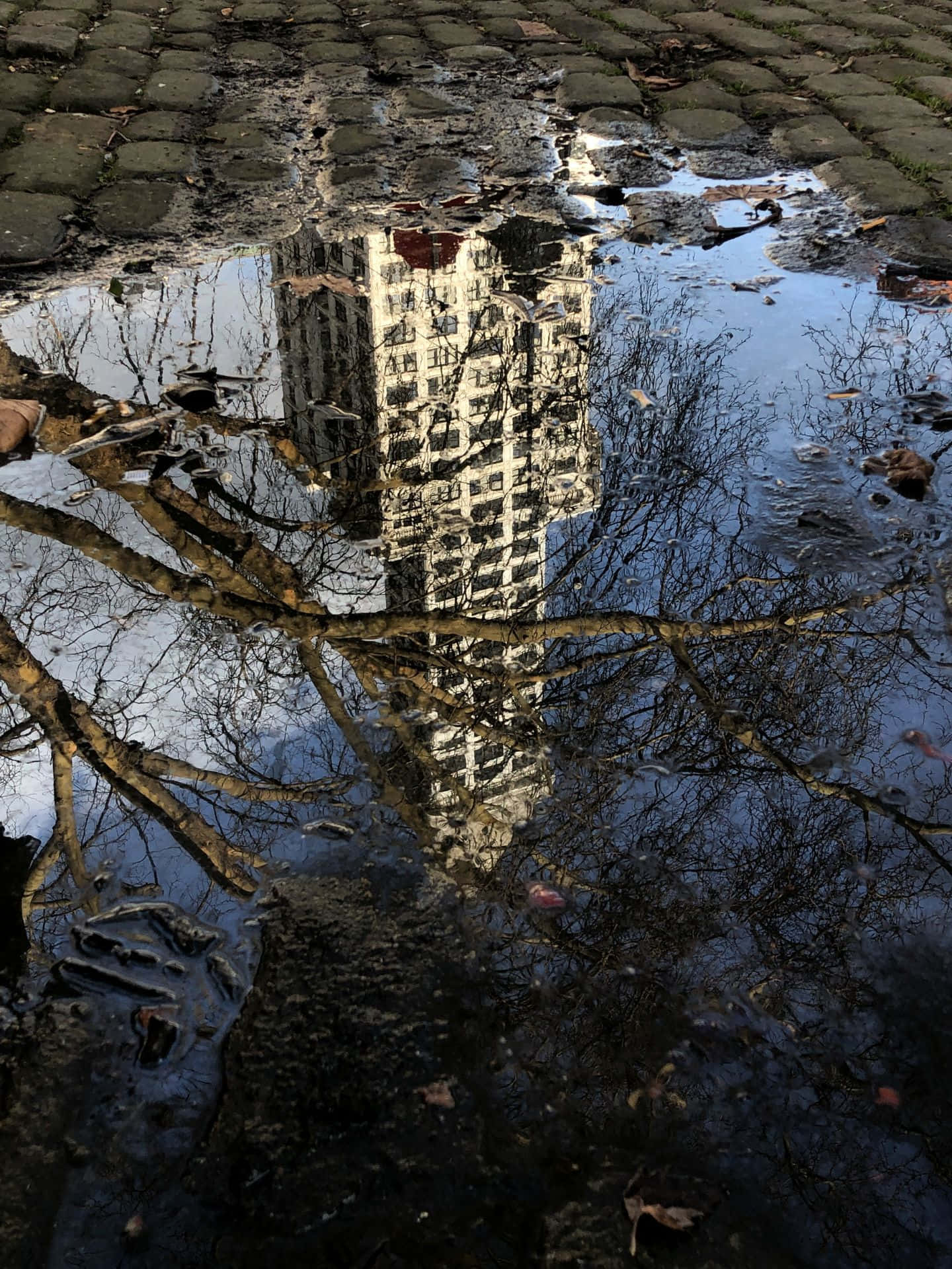 Pioneer Square Seattle, cobblestones, rain puddle, Full HD Phone Wallpaper