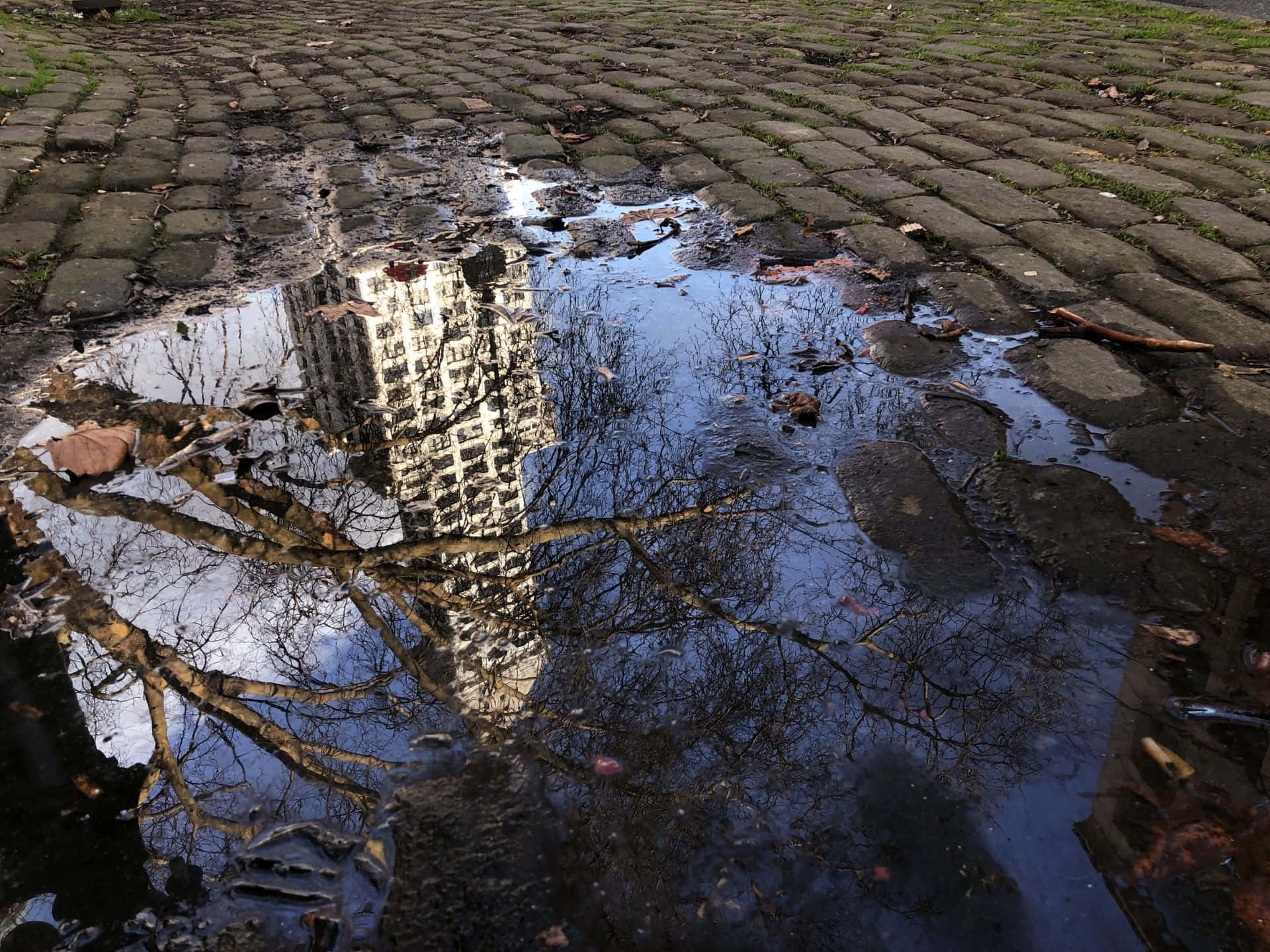 Pioneer Square Seattle, cobblestones, tall building, Full HD Desktop Wallpaper