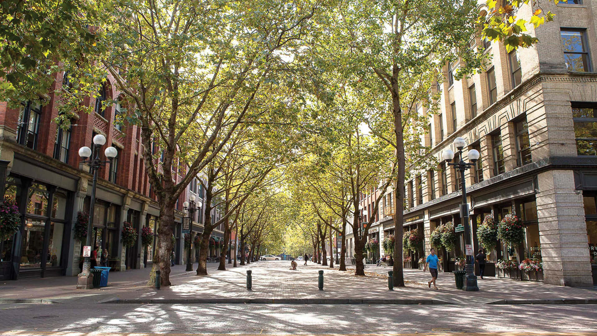 Pioneer Square Seattle, sunny day, tree-lined urban street, Full HD Desktop Wallpaper