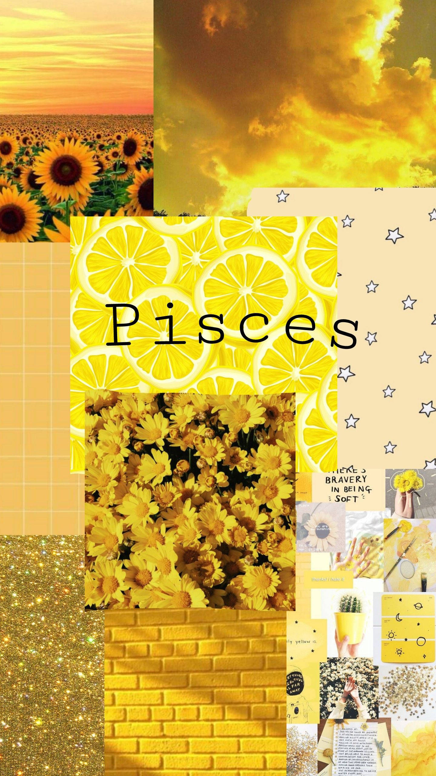 Pisces, yellow, sunflowers, 2K Phone Wallpaper