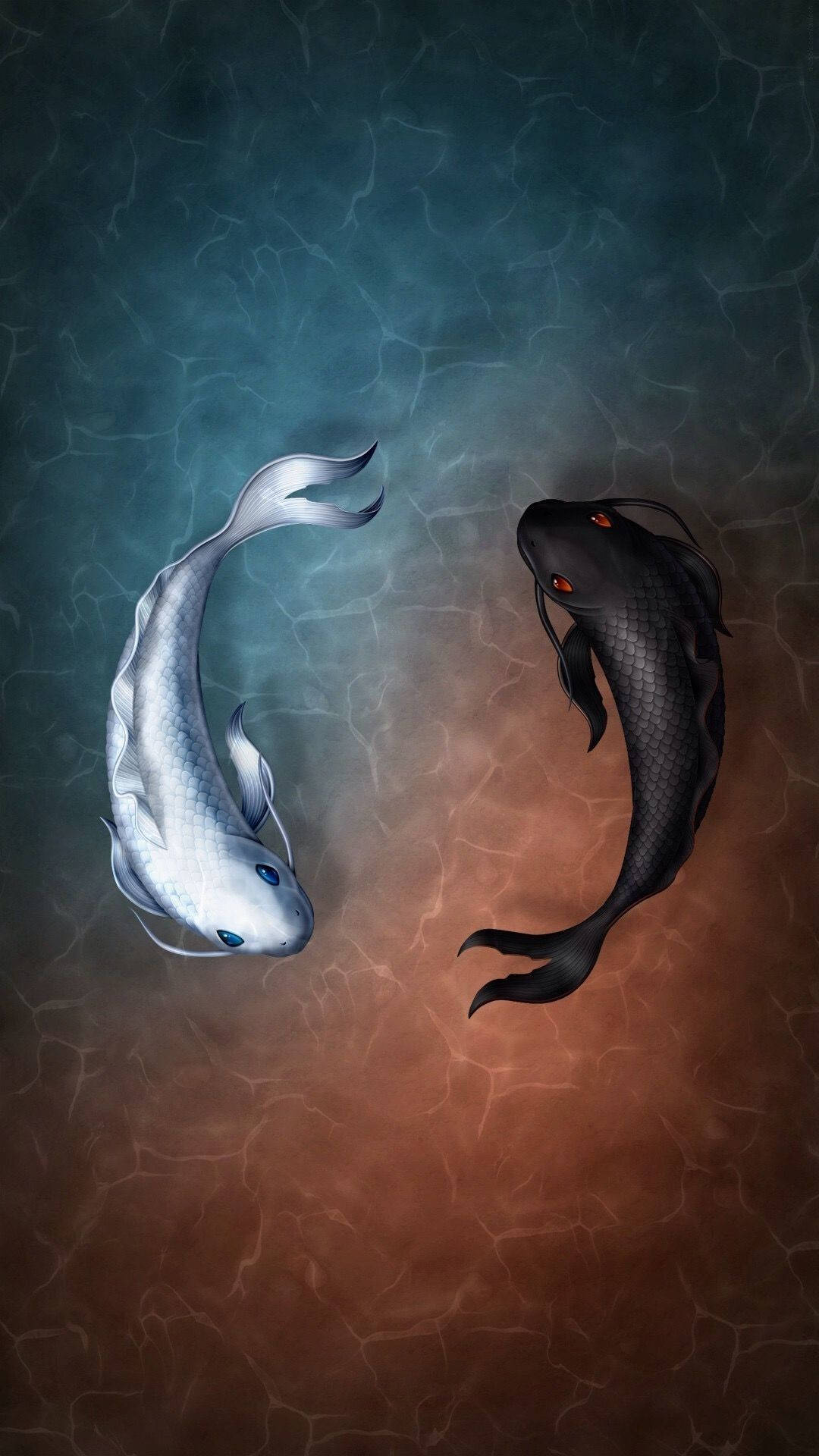 Pisces, koi fish, white koi fish, Full HD Phone Wallpaper