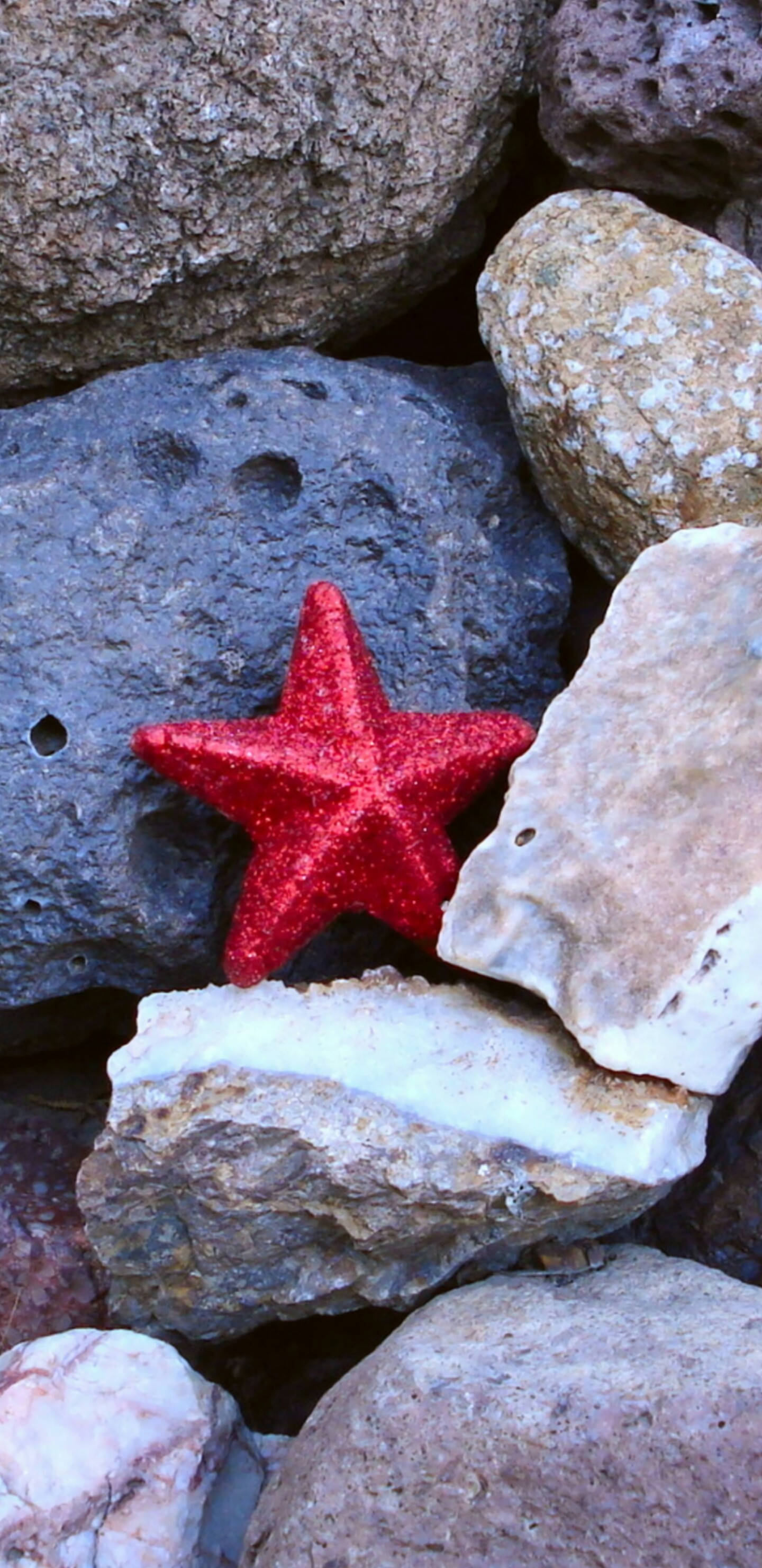 Pixel 3 XL, pink starfish, glittery red starfish, 2K Phone Wallpaper
