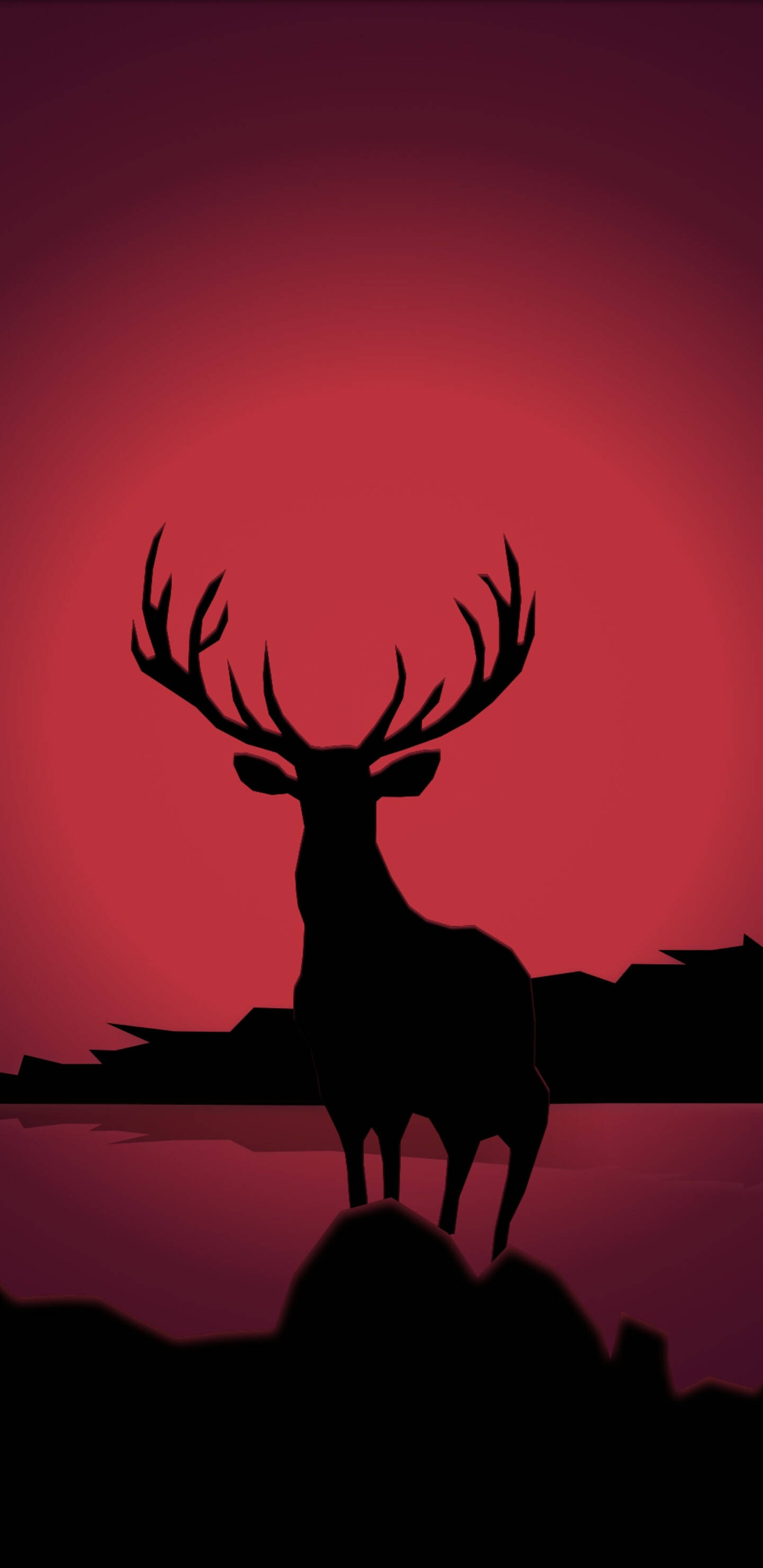 Pixel 3 XL, stag, antlers, 2K Phone Wallpaper